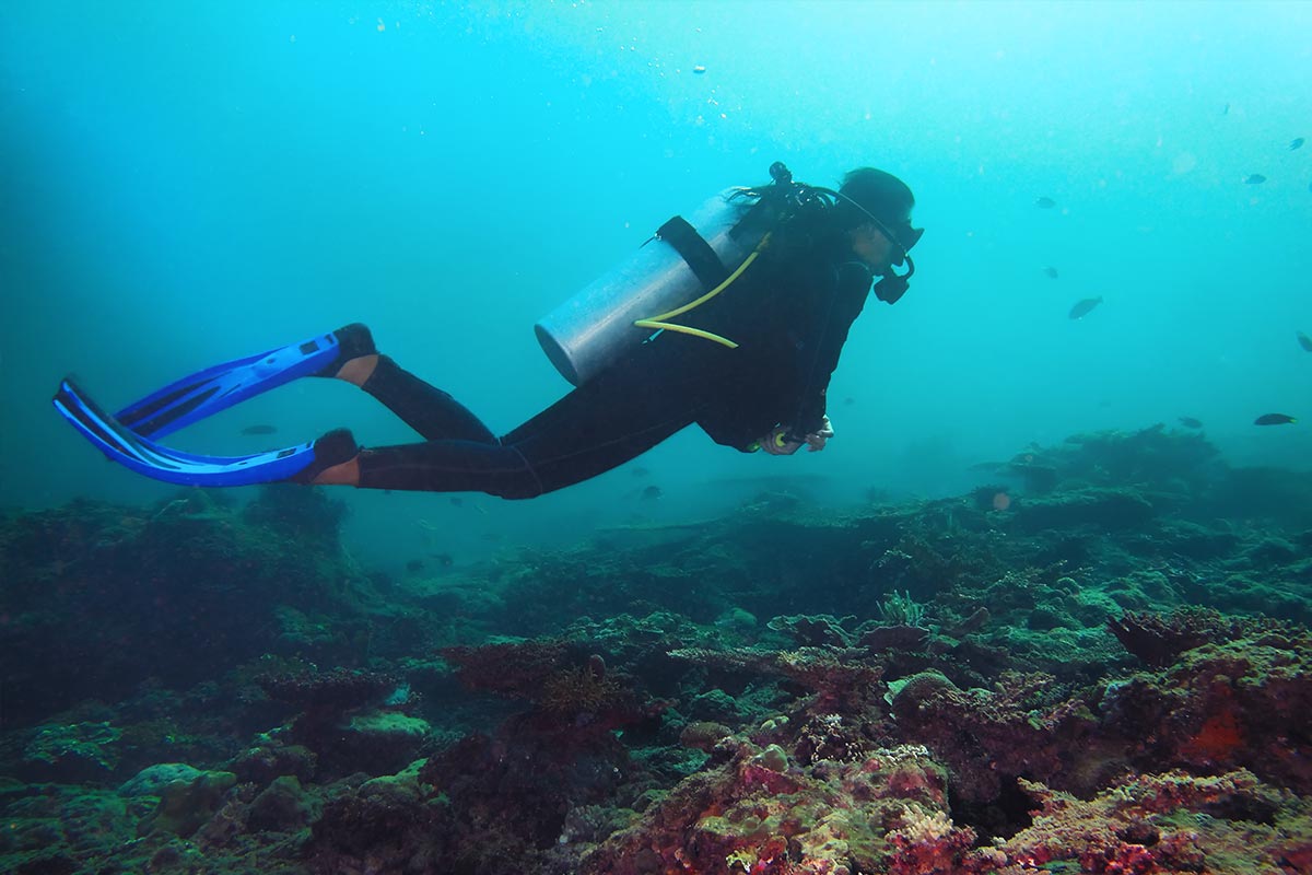 Scuba diving 8672