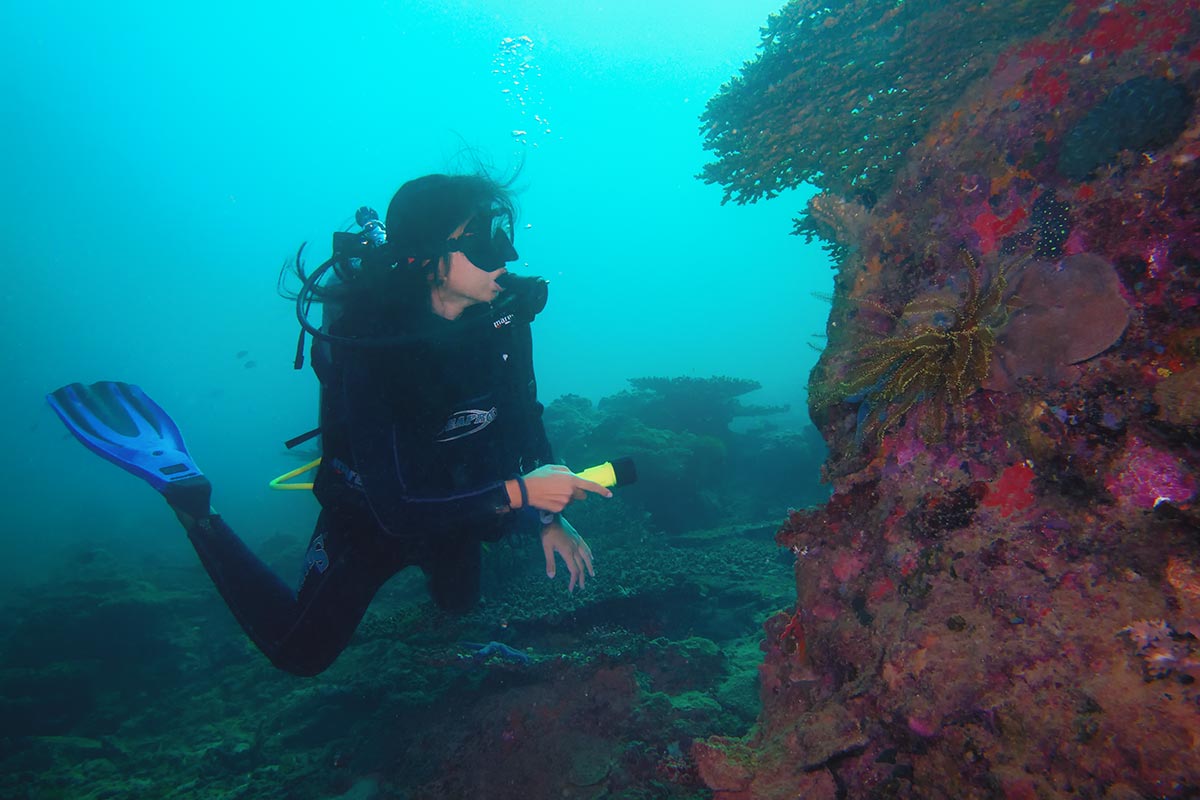 Scuba diving 8716