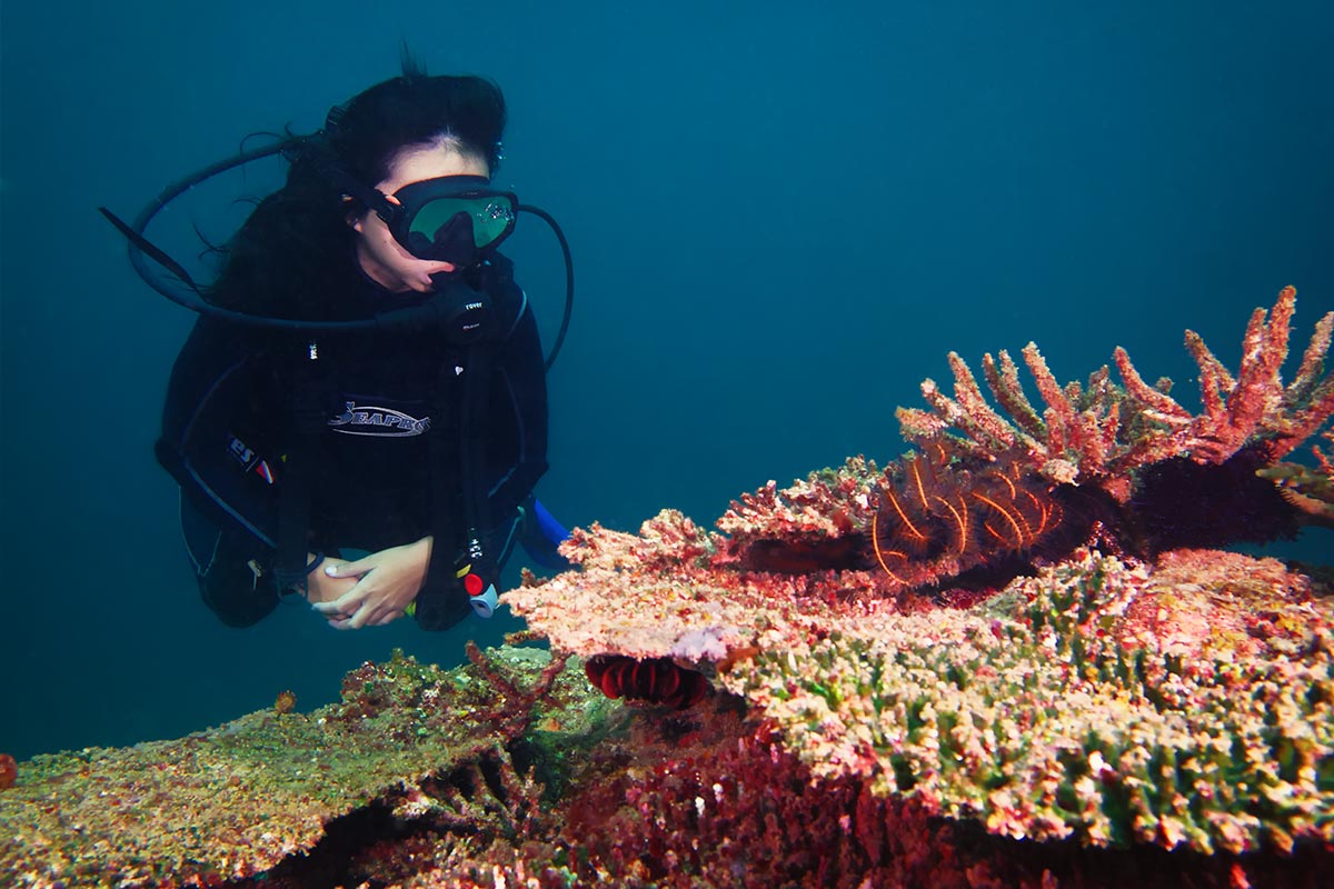 Scuba diving 8747