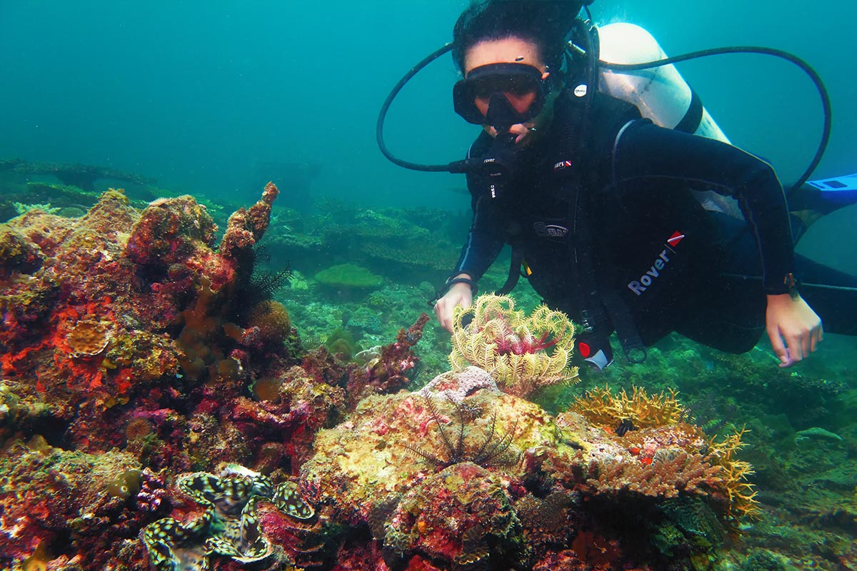 Scuba diving 8970