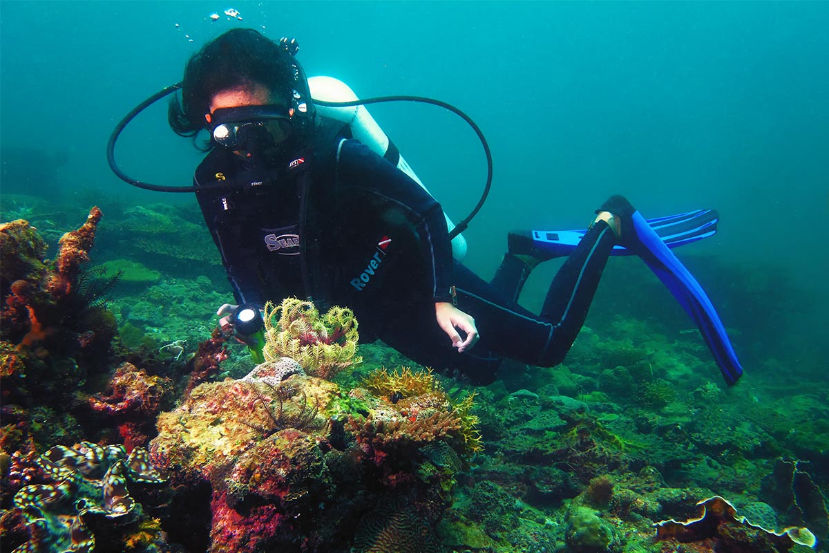 Scuba diving 8992