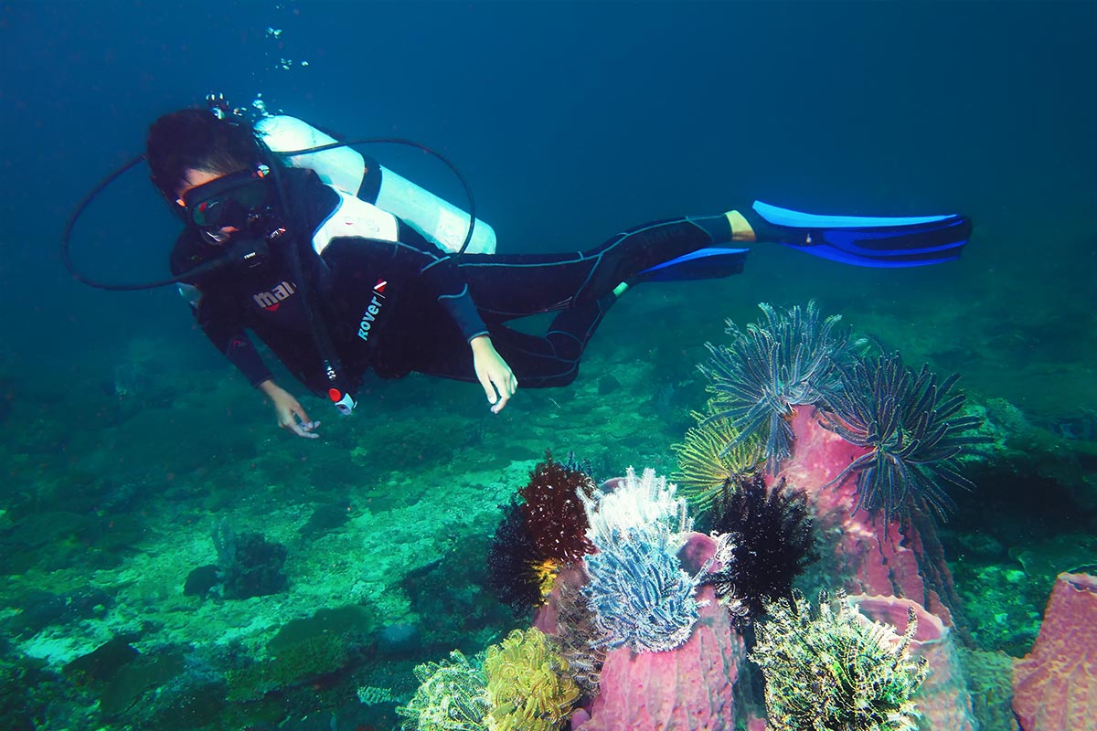 Scuba diving 9259