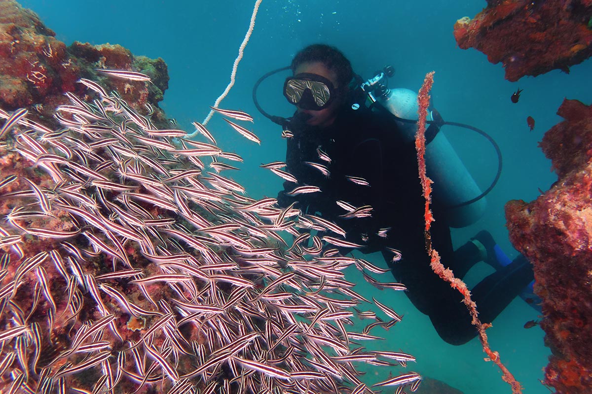 Scuba diving 9705